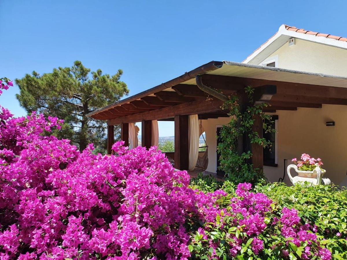 Villa Le Agavi & Spa Scarlino Exteriör bild
